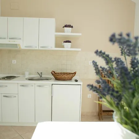 Apartments Rina Novalja Exterior photo